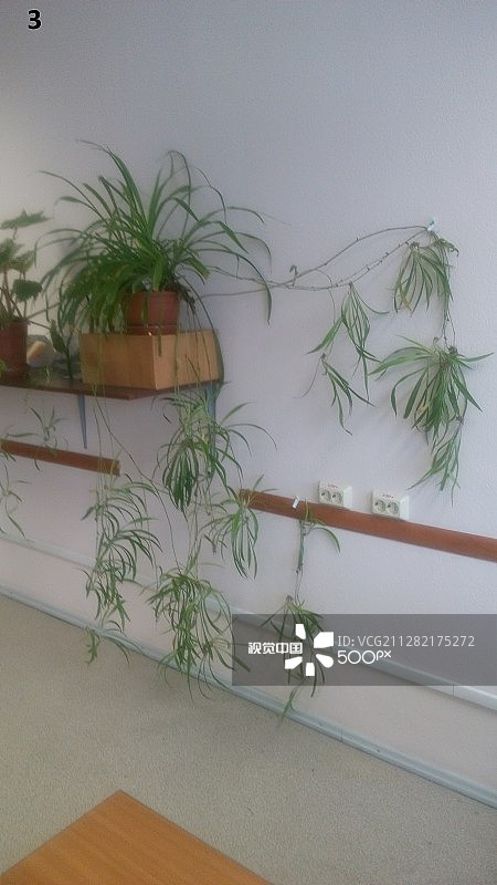 俄罗斯联邦彼尔姆图片素材