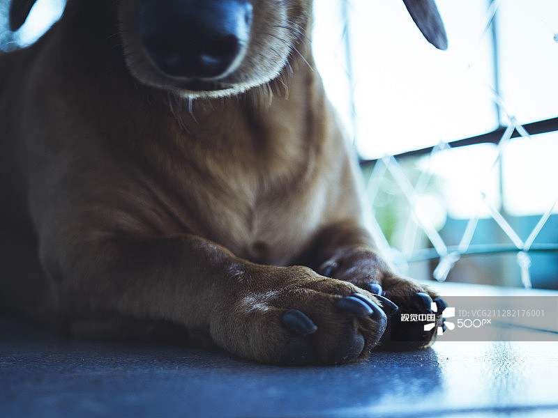 指向更高处...图片素材