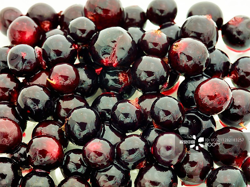 黑加仑图片素材