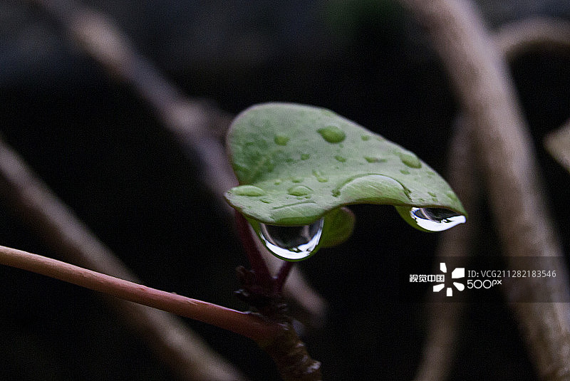 滴眼液图片素材
