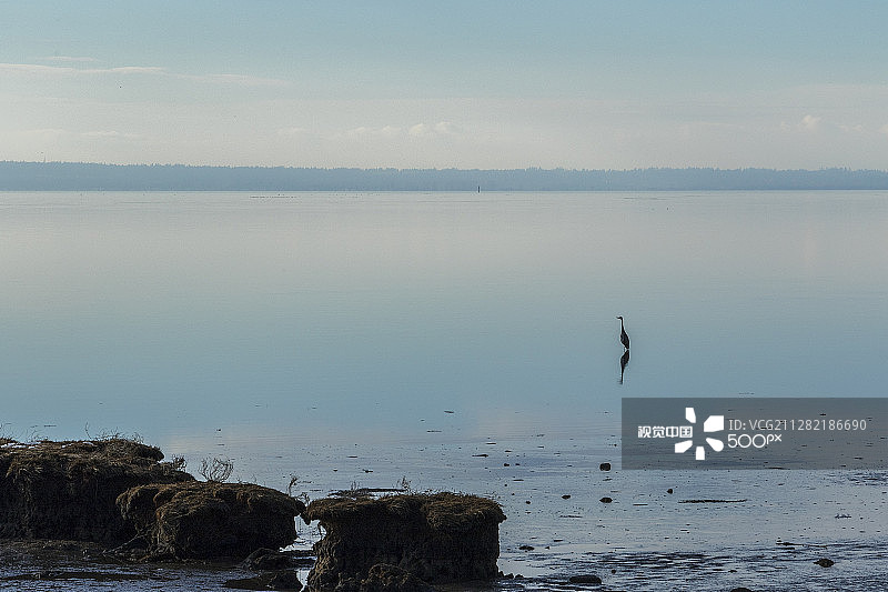 第15天 - 2图片素材