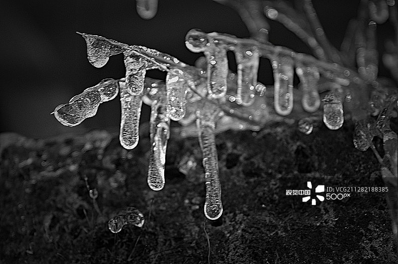 冰锥（黑白版）图片素材