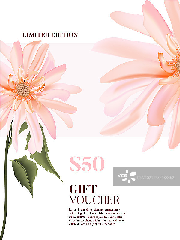 水彩风格的柔嫩粉色大丽花图片素材