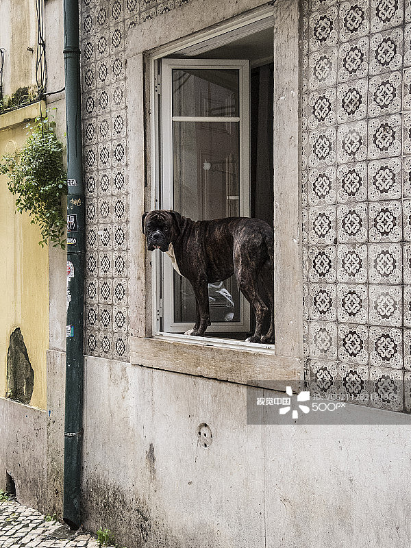 体系结构图片素材