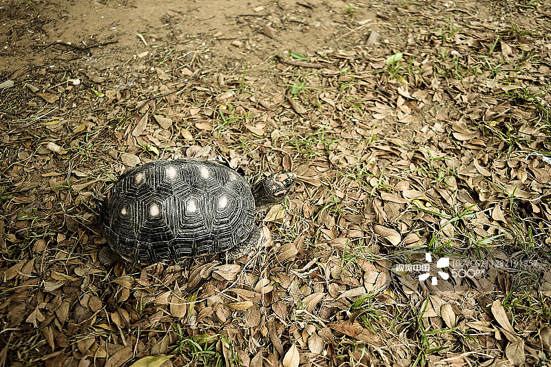我们必须保护自然环境图片素材