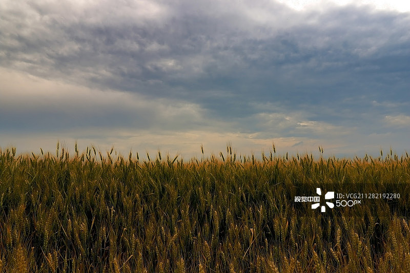 暴风雨前的寂静图片素材