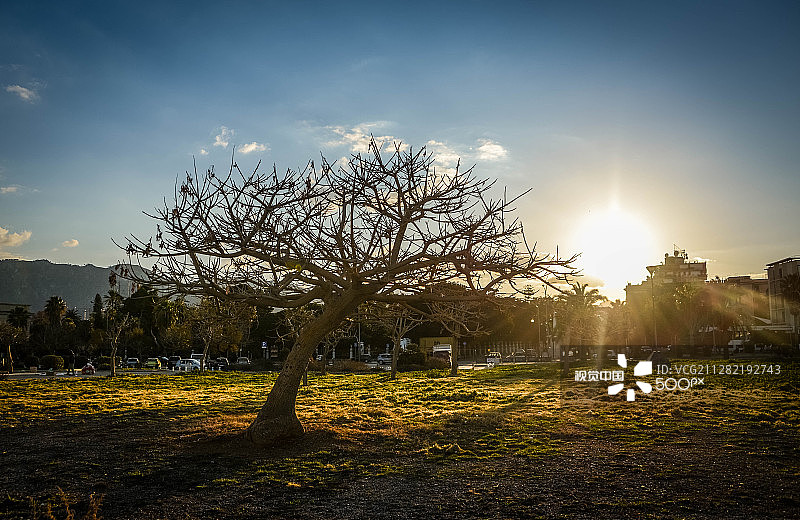 在巴勒莫，1月17日图片素材
