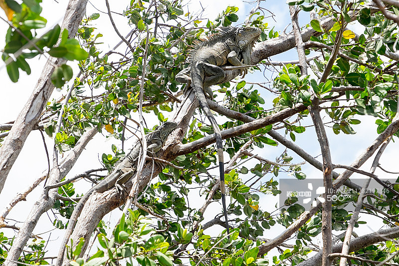 休闲放松图片素材