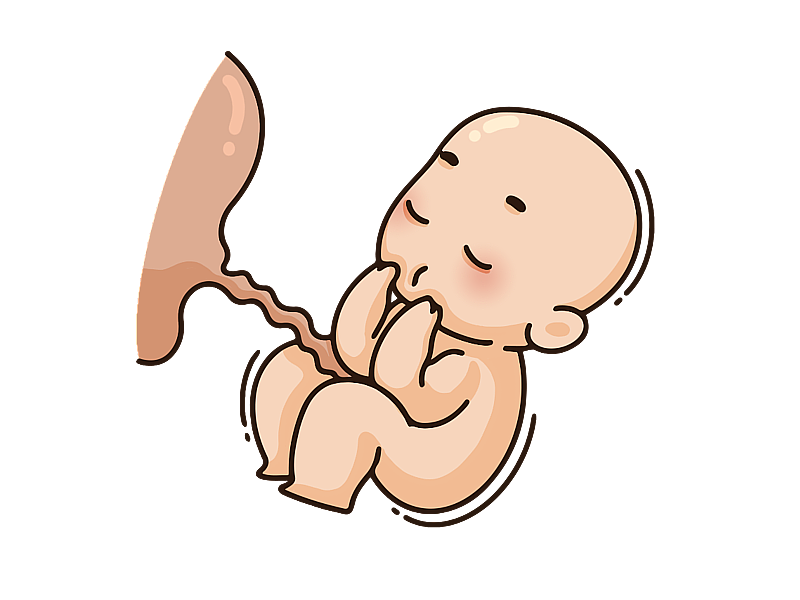 胚胎婴儿图片素材