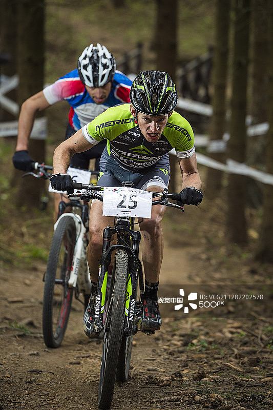 马丁·哈林图片素材