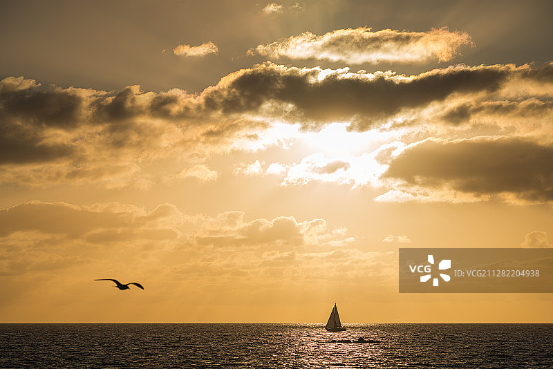 加州海岸图片素材