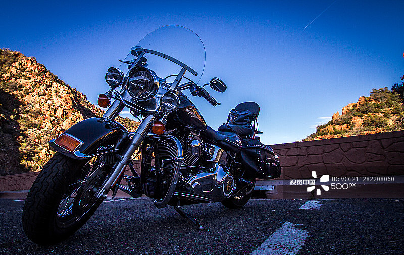 雇佣我，哈莉图片素材