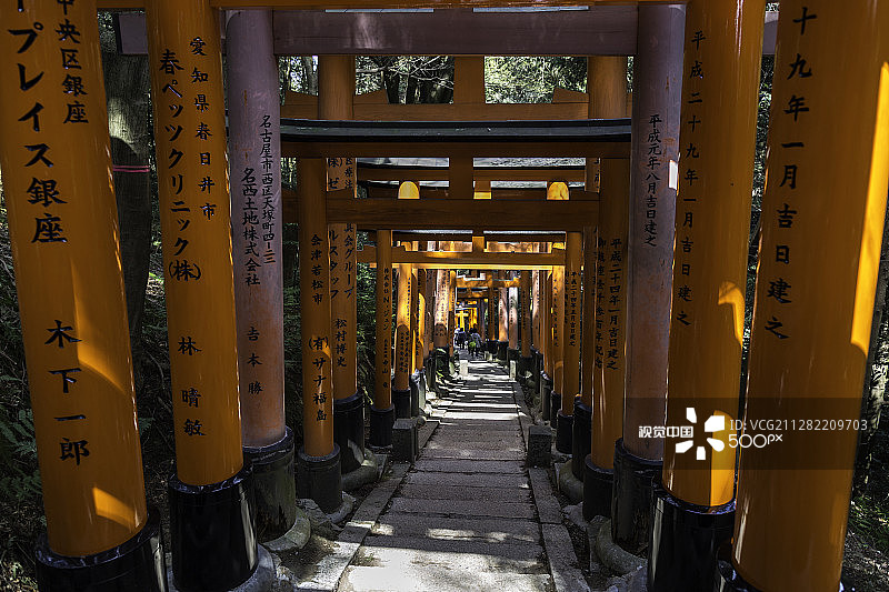 伏见稻荷图片素材