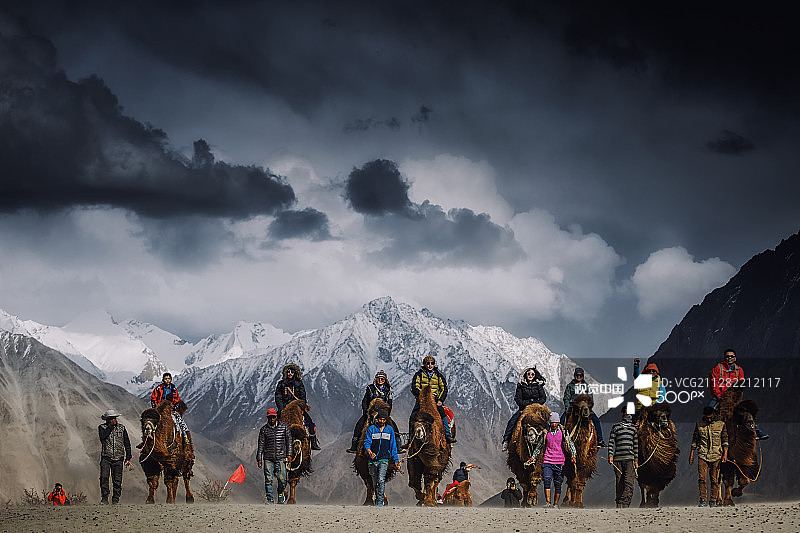 游客在努布拉山谷骑双峰骆驼图片素材