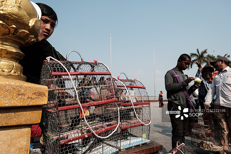 金边的鸟笼图片素材