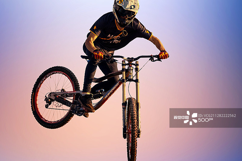 苍蝇...图片素材