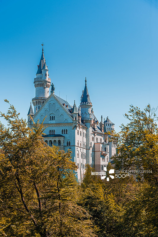 以秋季森林为前景的新天鹅堡图片素材