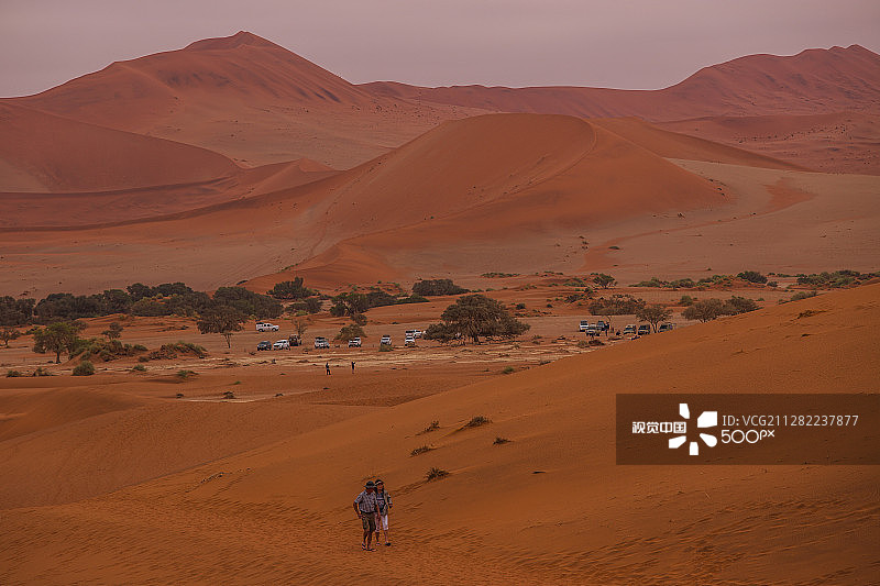 死弗莱图片素材