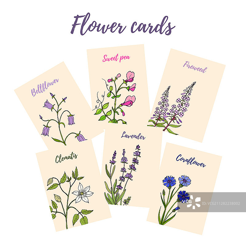 6张彩色花卉卡片图片素材