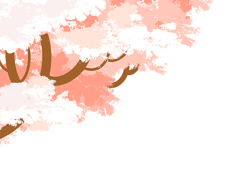 春季樱花树图片素材