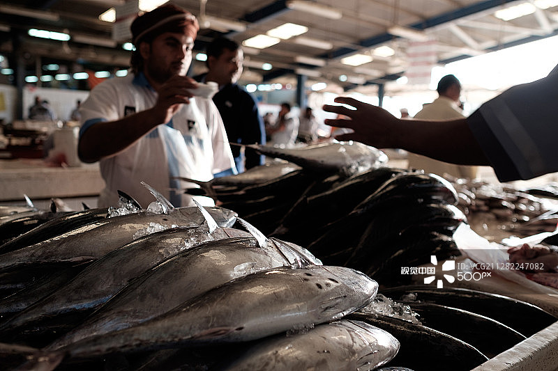 迪拜鱼市场图片素材