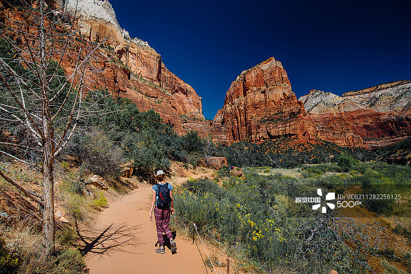 锡安国家公园图片素材