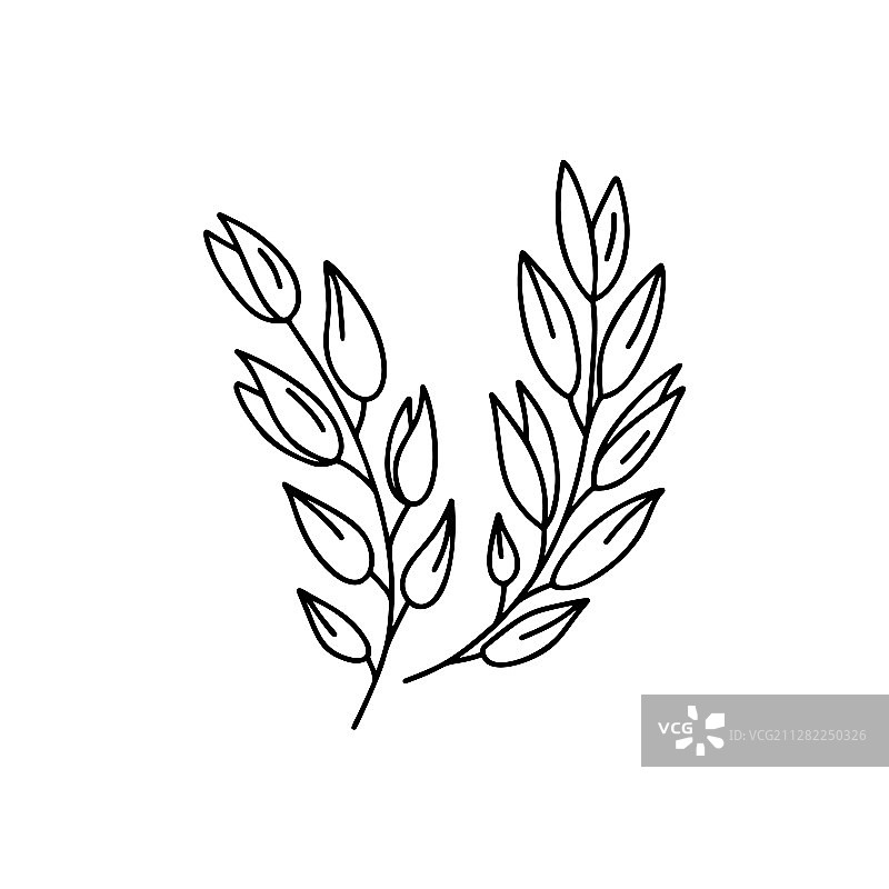 燕麦或麦穗轮廓简图图片素材