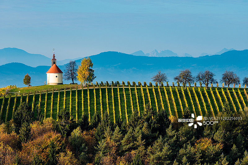 奥地利葡萄园顶端小教堂的清晨景色图片素材