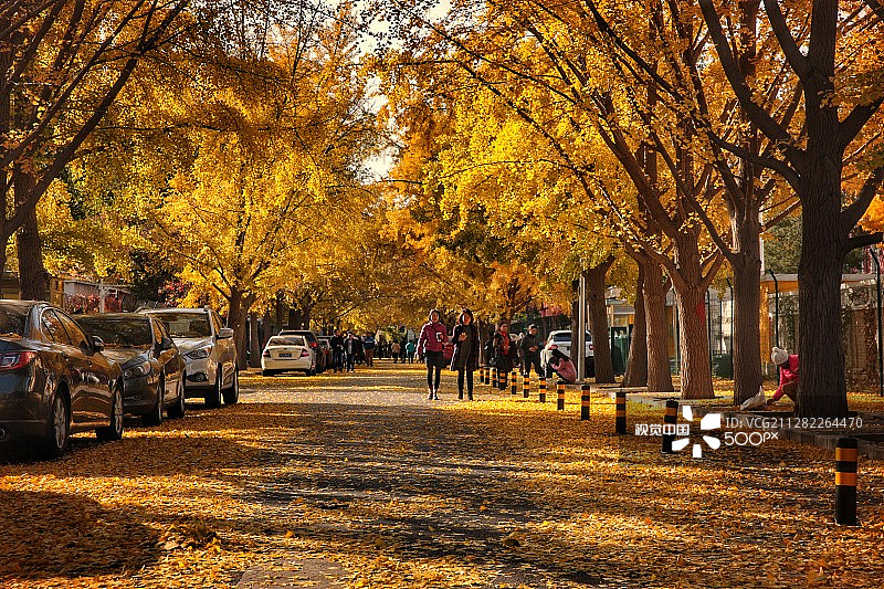 David QU摄影作品 / 500px图片素材