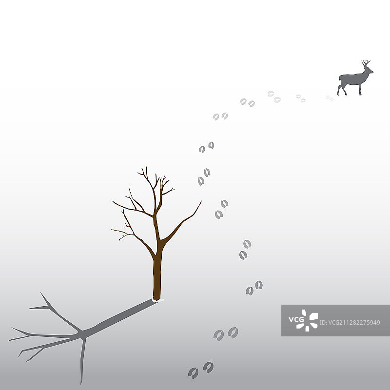 冬季雪地上的鹿脚印图片素材