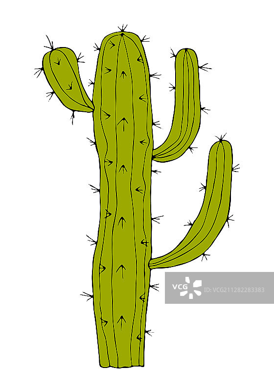 家居仙人掌盆栽温馨元素图片素材