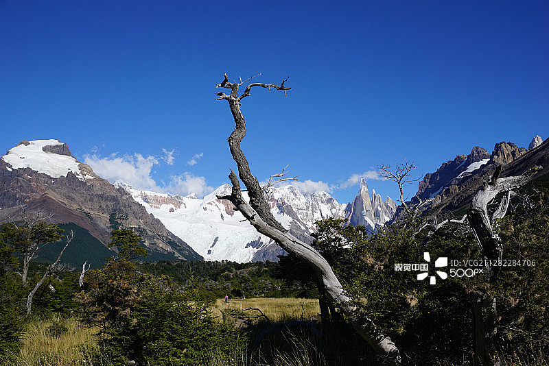 阿根廷巴塔哥尼亚的托雷峰图片素材