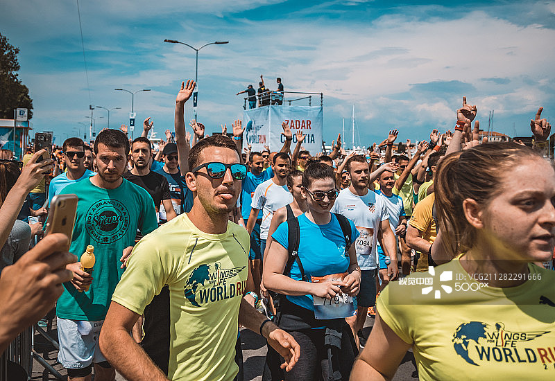 生命之翼图片素材