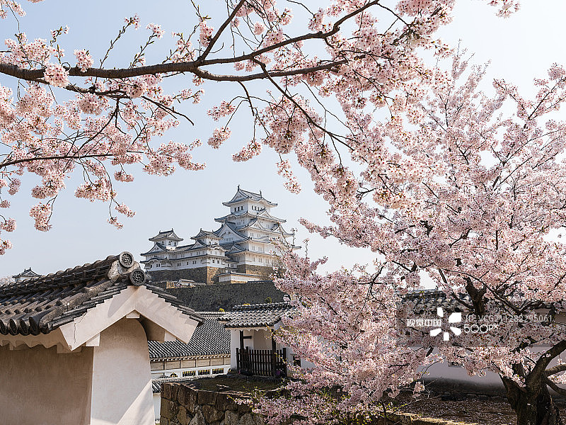 日本姬路城图片素材