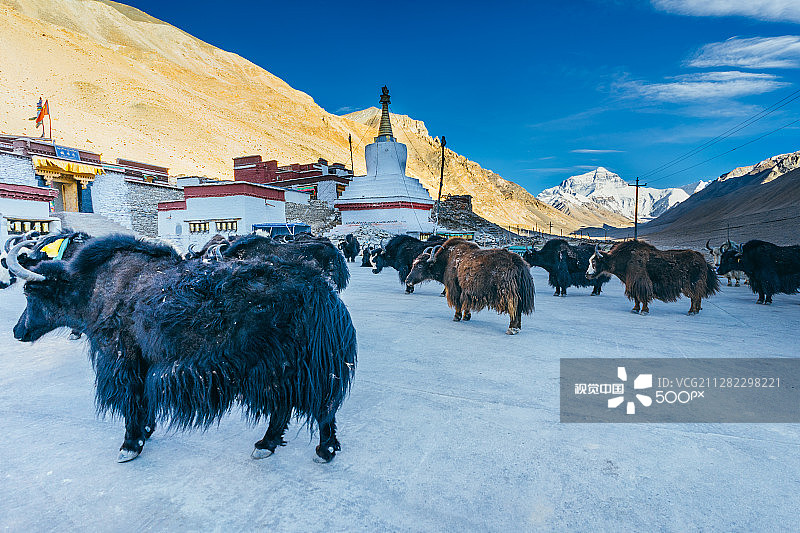 绒布寺图片素材