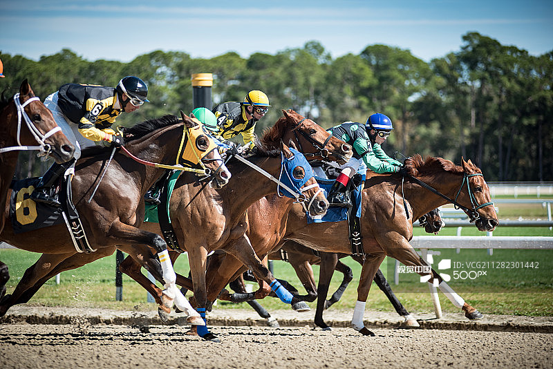 赛马起跑瞬间图片素材