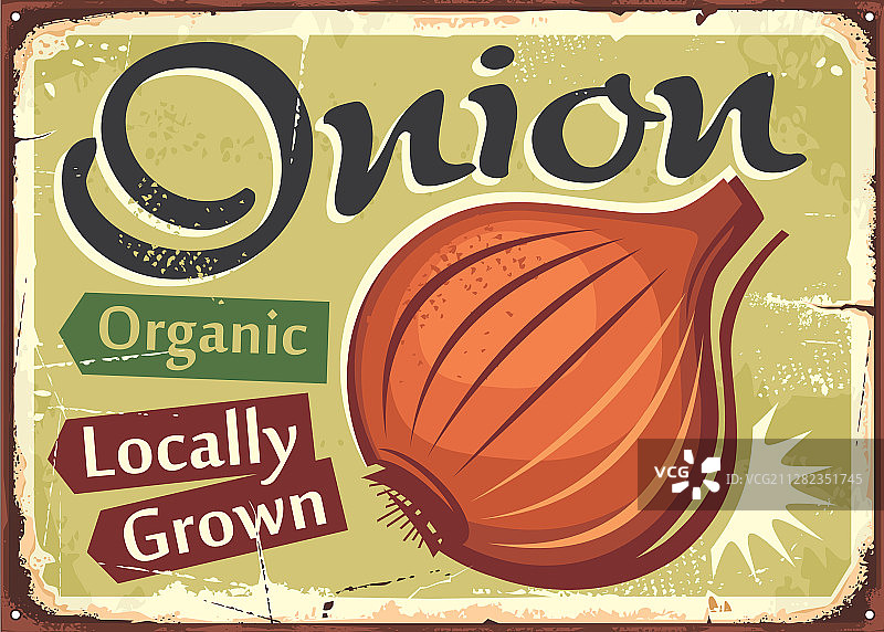 本地种植的有机农产品洋葱图片素材