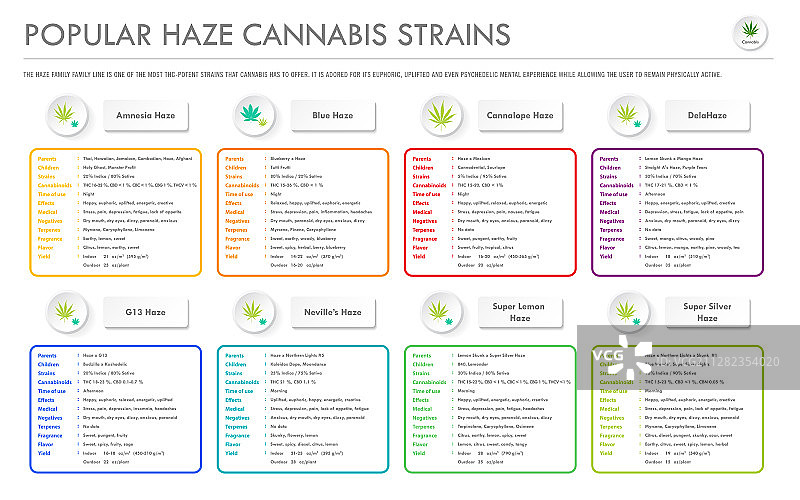 流行的雾霾大麻品种图片素材