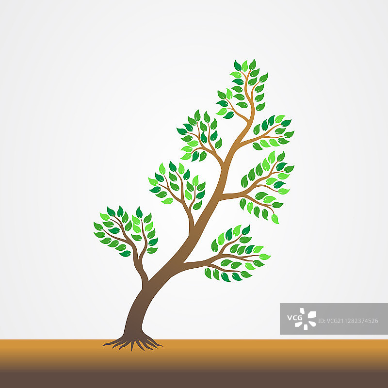 带根的树木图片素材