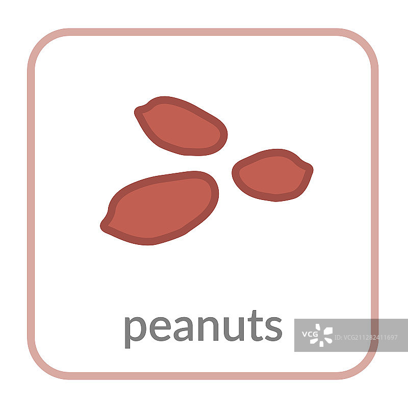花生种子图标棕色花生轮廓扁平设计图片素材