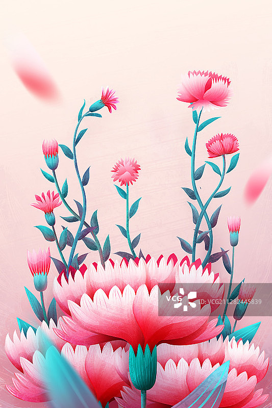 粉色的康乃馨图片素材