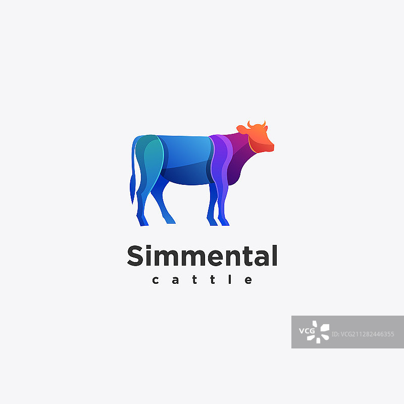 西门塔尔模板图片素材