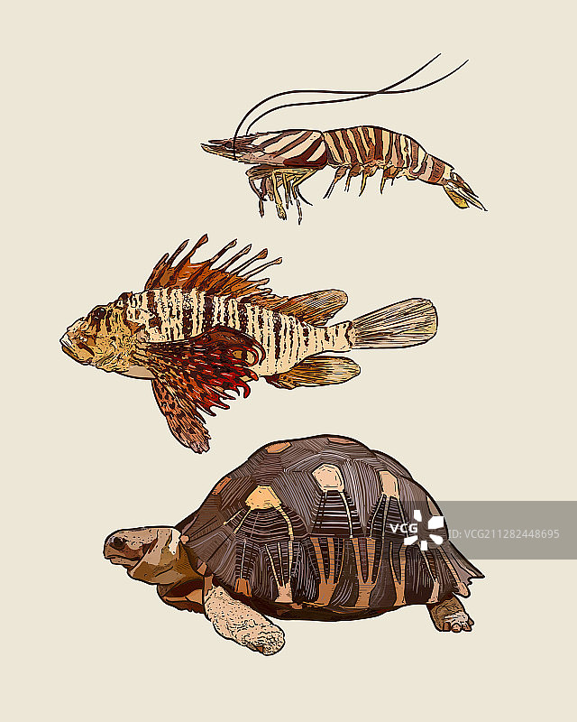 动物手绘素描套装图片素材