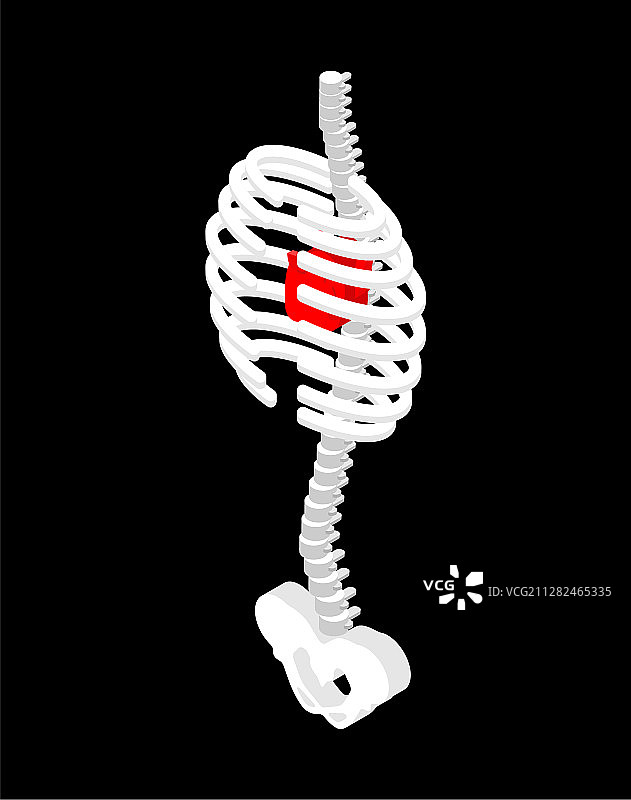胸腔和心脏2.5D风格肋骨解剖结构图片素材