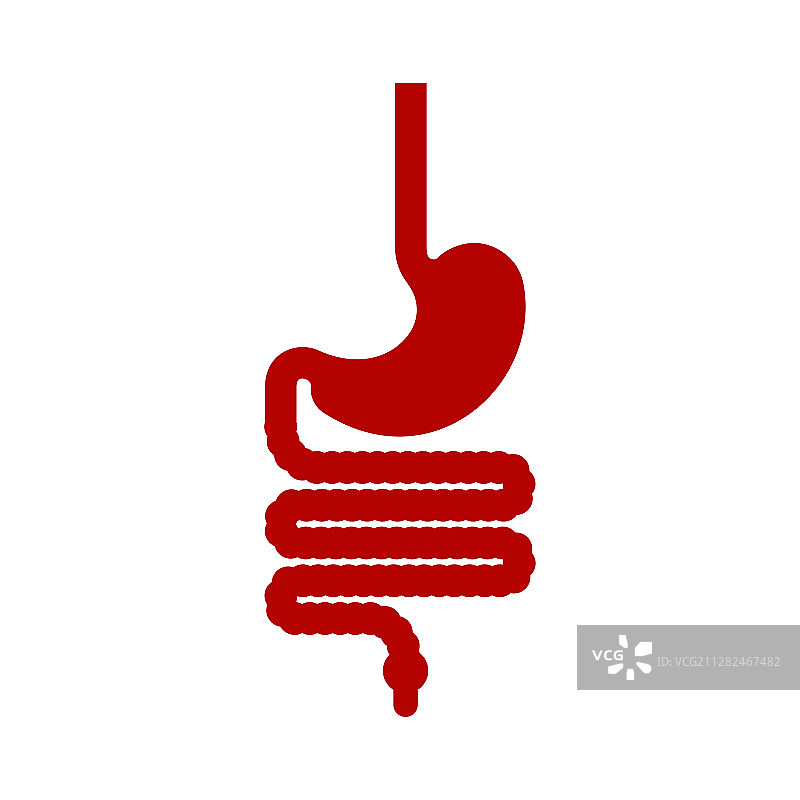 胃、食道和直肠人体解剖图片素材