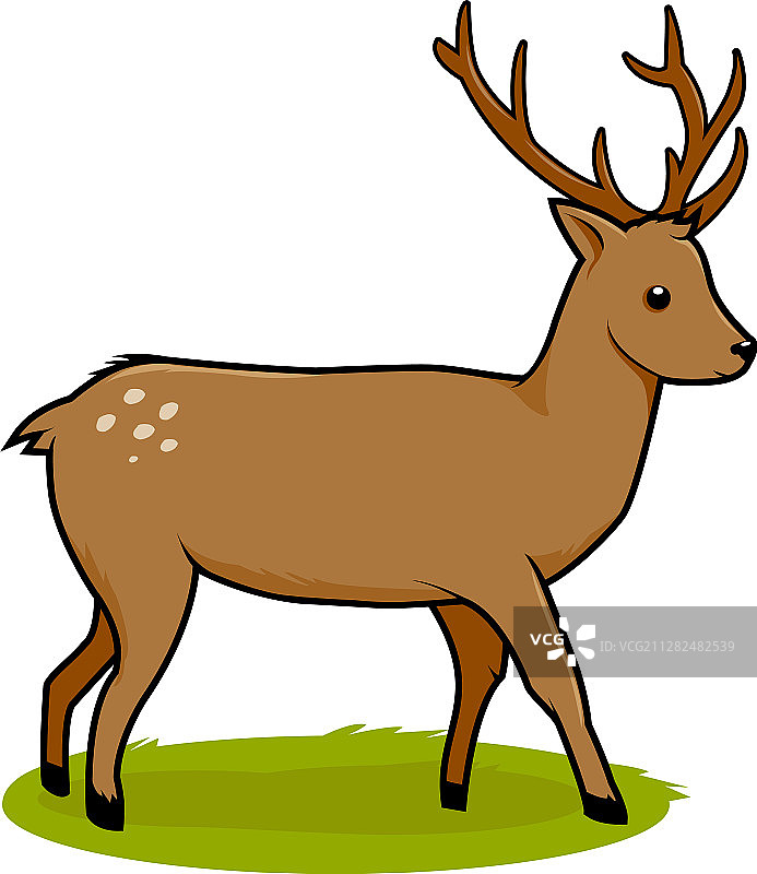 鹿图片素材