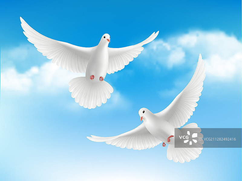 蓝天白鸽云中飞鸟图片素材