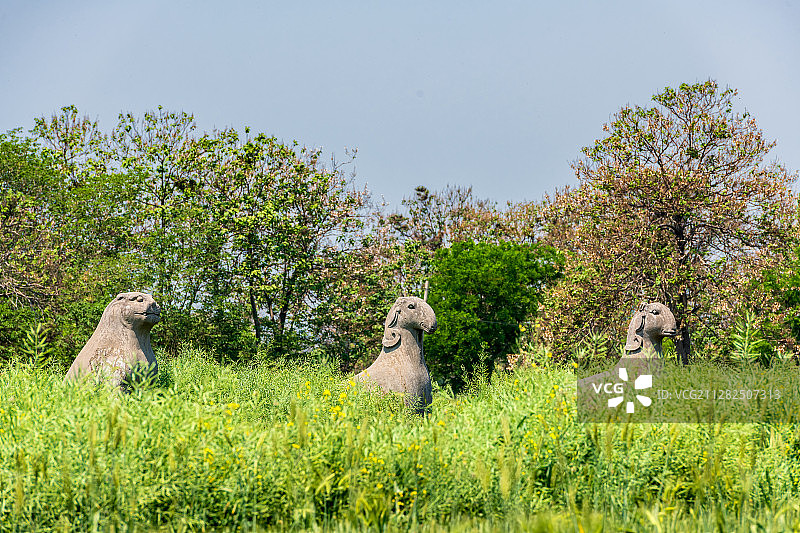 河南郑州巩义宋陵永裕陵（北宋第六代皇帝赵顼陵墓）全国重点文物图片素材