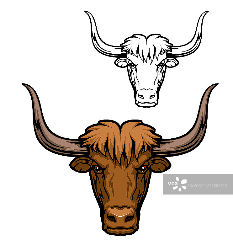 牦牛动物头像棕色牛图片素材
