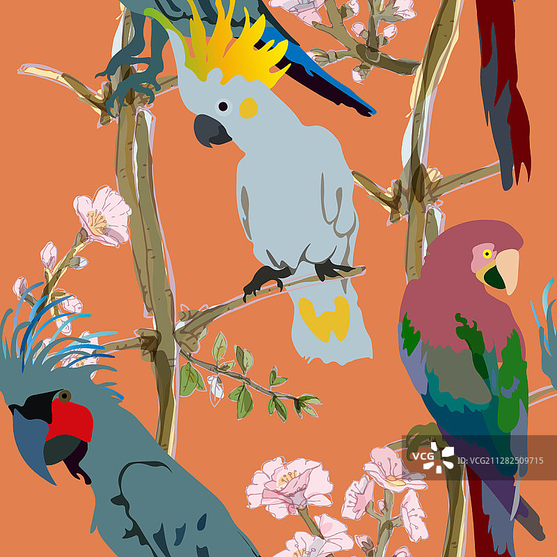 三只鲜艳的凤头鹦鹉图片素材